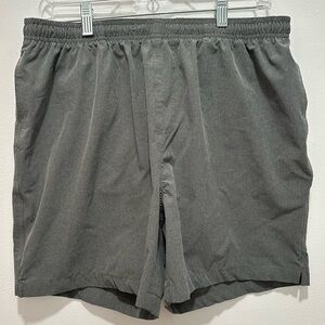 Chubbies Shorts
